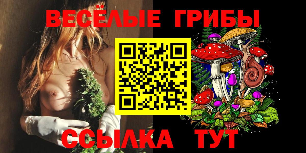 Галлюциногенные грибы Psilocybe  Вход с VPN  Зеленодольск 